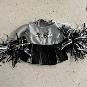 Dog costume cheerleader size S